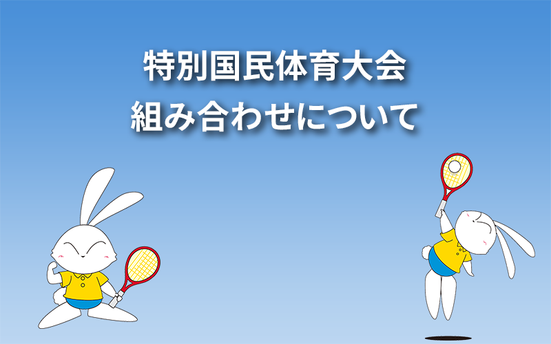 特別国民体育大会組み合わせについて